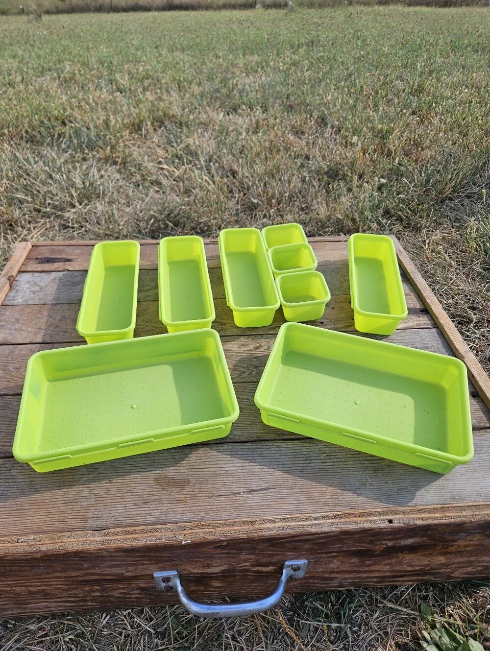 N/A versatile lime